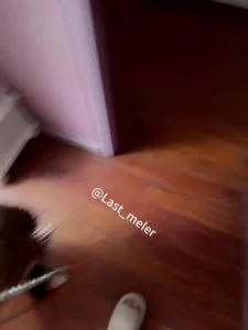 06母狗带肛塞尾巴爬行，对镜口交毒龙后入